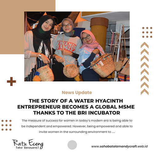 The-Story-of-a-Water-Hyacinth-Entrepreneur-Becomes-a-Global-MSME-Thanks-to-the-BRI-Incubator
